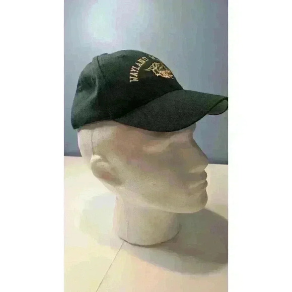 Wayland Wildcats Green Small Medium Fitted Hat - Picture 5 of 11